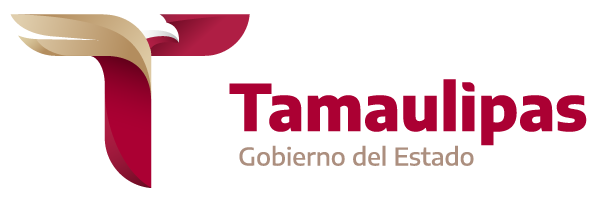 Tamaulipas, Gobierno del Estado